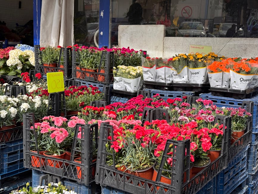 A display of various flowering plants arranged in black plastic crates outside a flower shop, with bright pink, red, white, orange, and yellow blooms, including carnations and chrysanthemums in terrac