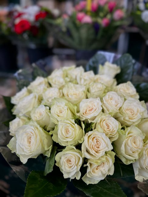 A tightly arranged bouquet of cream-colored roses with soft, velvety petals, paired with dark green foliage, displayed on a floral shop counter. The roses are fresh with slightly open blooms, showcasi